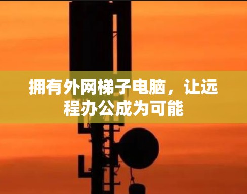 拥有外网梯子电脑,让远程办公成为可能 拥有外网梯子电脑,让远程办公成为可能