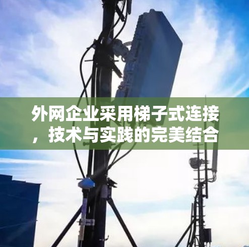 外网企业采用梯子式连接，技术与实践的完美结合