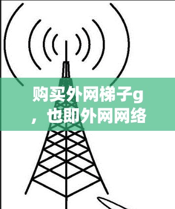 购买外网梯子g，也即外网网络设备，是连接外部网络到内网的关键工具。以下是一些关键点，帮助您更好地选择和使用外网梯子g