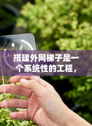 搭建外网梯子是一个系统性的工程，需要综合考虑材料、结构、安装和维护等多个方面。以下是一步步的指南