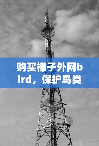 购买梯子外网bird,保护鸟类的绿色解决方案 购买梯子外网bird,保护鸟类的绿色解决方案