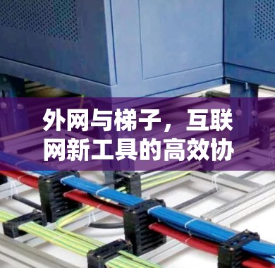 外网与梯子,互联网新工具的高效协作之道 外网与梯子,互联网新工具的高效协作之道