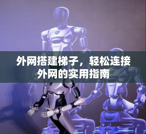 外网搭建梯子,轻松连接外网的实用指南 外网搭建梯子,轻松连接外网的实用指南