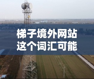 梯子境外网站这个词汇可能有不同的解释,具体含义取决于上下文。以下是一个可能的解释 梯子境外网站这个词汇可能有不同的解释,具体含义取决于上下文。以下是一个可能的解释