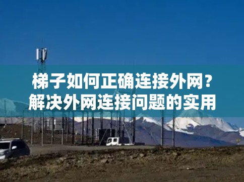 梯子如何正确连接外网?解决外网连接问题的实用技巧 梯子如何正确连接外网?解决外网连接问题的实用技巧