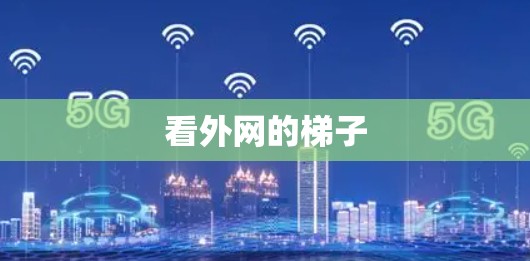 看外网的梯子