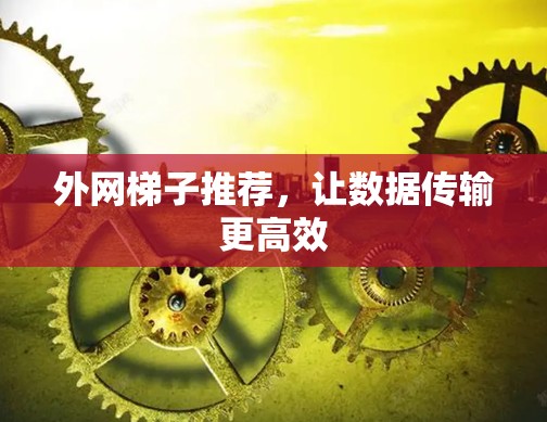 外网梯子推荐，让数据传输更高效