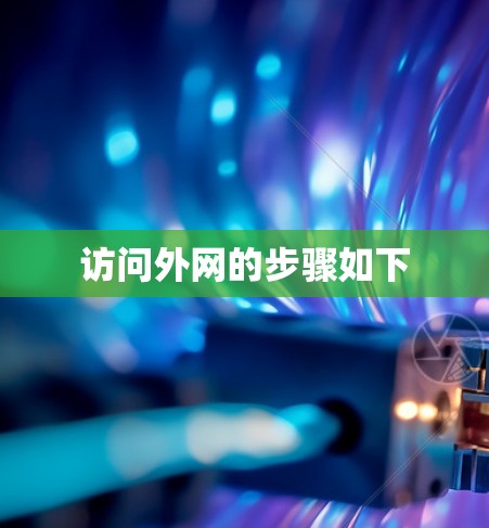 访问外网的步骤如下 访问外网的步骤如下