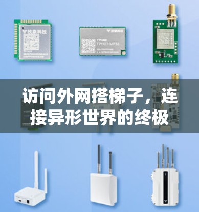 访问外网搭梯子,连接异形世界的终极指南 访问外网搭梯子,连接异形世界的终极指南
