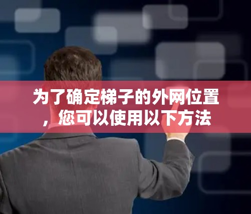 为了确定梯子的外网位置，您可以使用以下方法