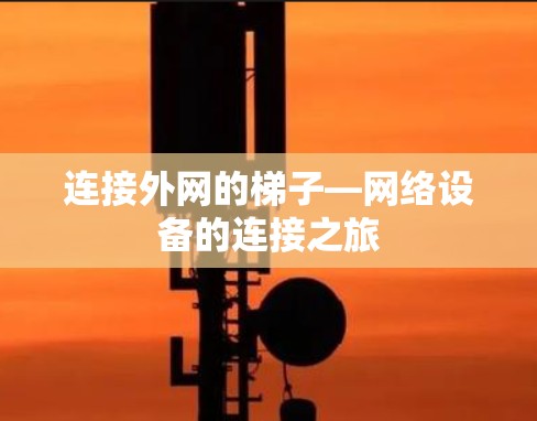 连接外网的梯子—网络设备的连接之旅