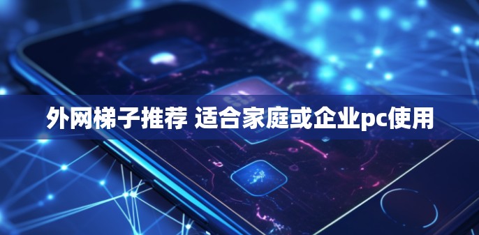 外网梯子推荐 适合家庭或企业pc使用