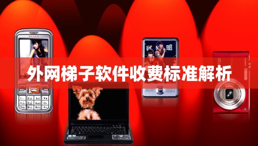 外网梯子软件收费标准解析 外网梯子软件收费标准解析