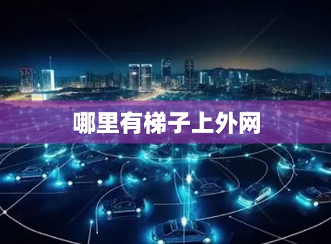哪里有梯子上外网 哪里有梯子上外网