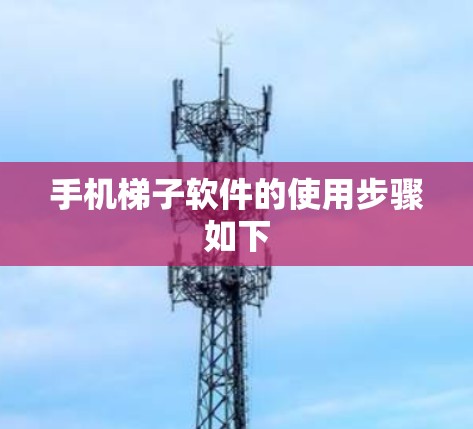 手机梯子软件的使用步骤如下