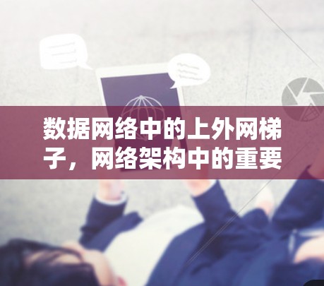 数据网络中的上外网梯子,网络架构中的重要角色 数据网络中的上外网梯子,网络架构中的重要角色