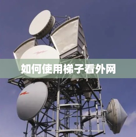 如何使用梯子看外网