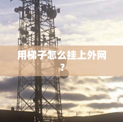用梯子怎么挂上外网？