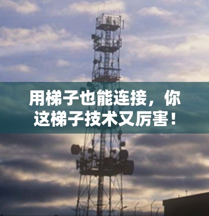 用梯子也能连接，你这梯子技术又厉害！