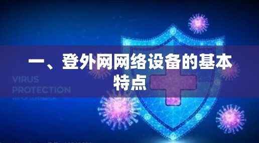 一、登外网网络设备的基本特点 一、登外网网络设备的基本特点