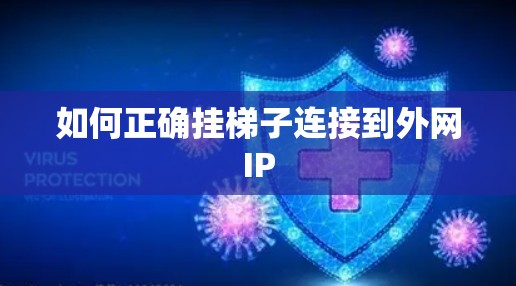 如何正确挂梯子连接到外网IP