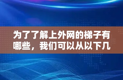 为了了解上外网的梯子有哪些，我们可以从以下几个方面进行分析