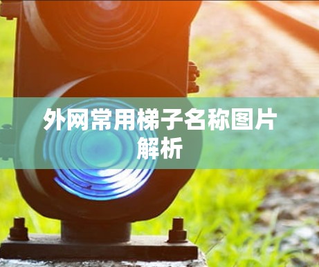外网常用梯子名称图片解析 外网常用梯子名称图片解析