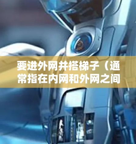 要进外网并搭梯子(通常指在内网和外网之间设置路径)可以按照以下步骤操作 要进外网并搭梯子(通常指在内网和外网之间设置路径)可以按照以下步骤操作