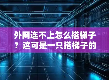 外网连不上怎么搭梯子?这可是一只搭梯子的机器人 外网连不上怎么搭梯子?这可是一只搭梯子的机器人