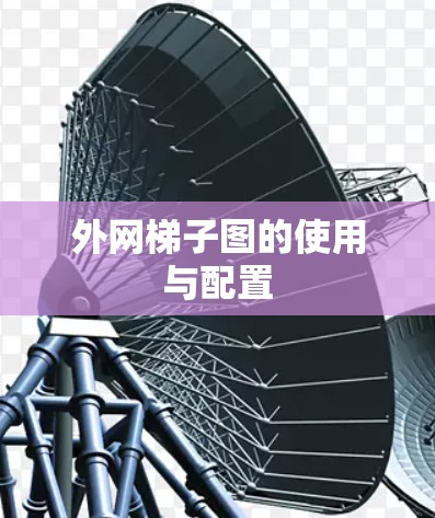 外网梯子图的使用与配置 外网梯子图的使用与配置