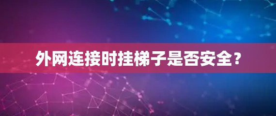 外网连接时挂梯子是否安全？