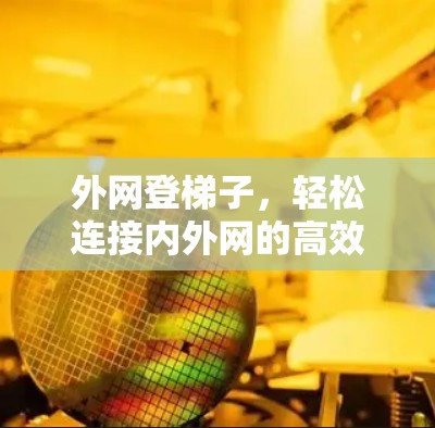 外网登梯子,轻松连接内外网的高效方法 外网登梯子,轻松连接内外网的高效方法