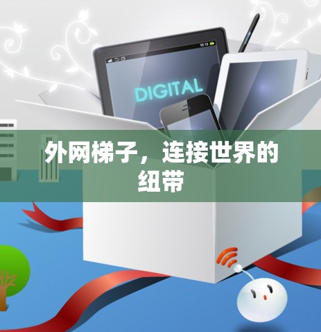 外网梯子，连接世界的纽带