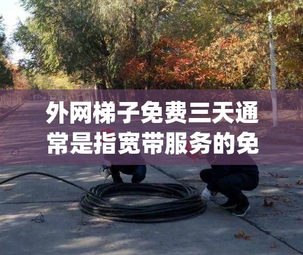 外网梯子免费三天通常是指宽带服务的免费使用期限。这种服务可能涉及不同的套餐,例如MTN、Vintages或Wi-Fi+以下是关于这种情况的分析和建议 外网梯子免费三天通常是指宽带服务的免费使用期限。这种服务可能涉及不同的套餐,例如MTN、Vintages或Wi-Fi+以下是关于这种情况的分析和建议