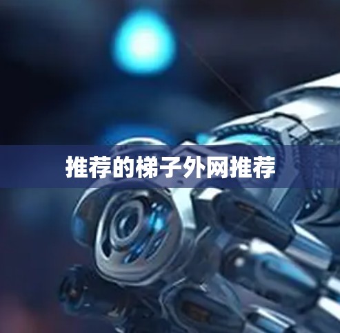 推荐的梯子外网推荐 推荐的梯子外网推荐