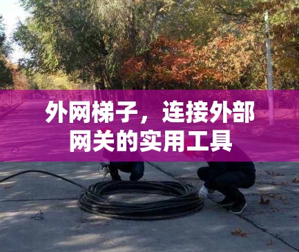 外网梯子,连接外部网关的实用工具 外网梯子,连接外部网关的实用工具