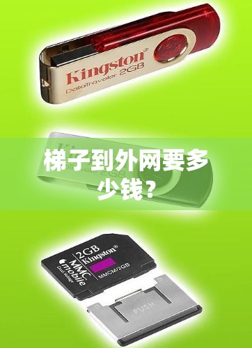 梯子到外网要多少钱? 梯子到外网要多少钱?