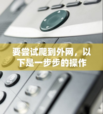 要尝试爬到外网，以下是一步步的操作指南，确保安全和有效