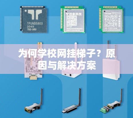 为何学校网挂梯子?原因与解决方案 为何学校网挂梯子?原因与解决方案
