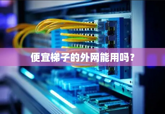 便宜梯子的外网能用吗? 便宜梯子的外网能用吗?