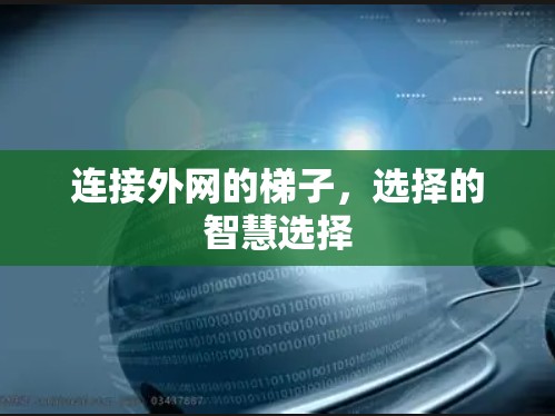 连接外网的梯子,选择的智慧选择 连接外网的梯子,选择的智慧选择