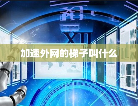 加速外网的梯子叫什么 加速外网的梯子叫什么