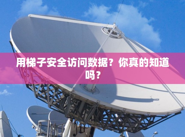 用梯子安全访问数据?你真的知道吗? 用梯子安全访问数据?你真的知道吗?