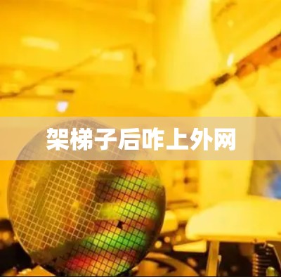架梯子后咋上外网 架梯子后咋上外网