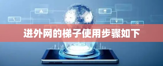 进外网的梯子使用步骤如下