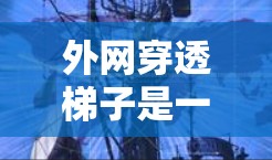 外网穿透梯子是一个复杂的网络攻击手段，旨在阻止或阻止外网设备（如服务器、数据库等）被攻击。以下是对该术语的详细分析和解释