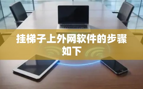 挂梯子上外网软件的步骤如下