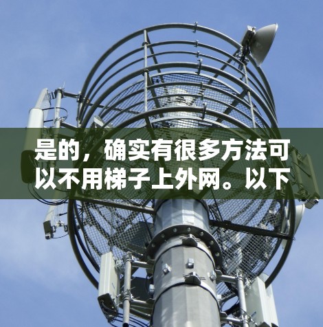 是的,确实有很多方法可以不用梯子上外网。以下是一些常见的方法 是的,确实有很多方法可以不用梯子上外网。以下是一些常见的方法
