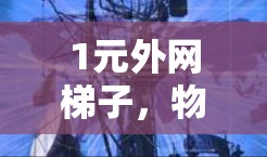 1元外网梯子，物有所值，助您轻松连接家中的电