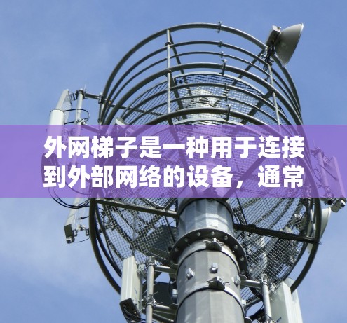 外网梯子是一种用于连接到外部网络的设备,通常位于学校或建筑的特定位置。以下是对外网梯子的详细分步指南 外网梯子是一种用于连接到外部网络的设备,通常位于学校或建筑的特定位置。以下是对外网梯子的详细分步指南